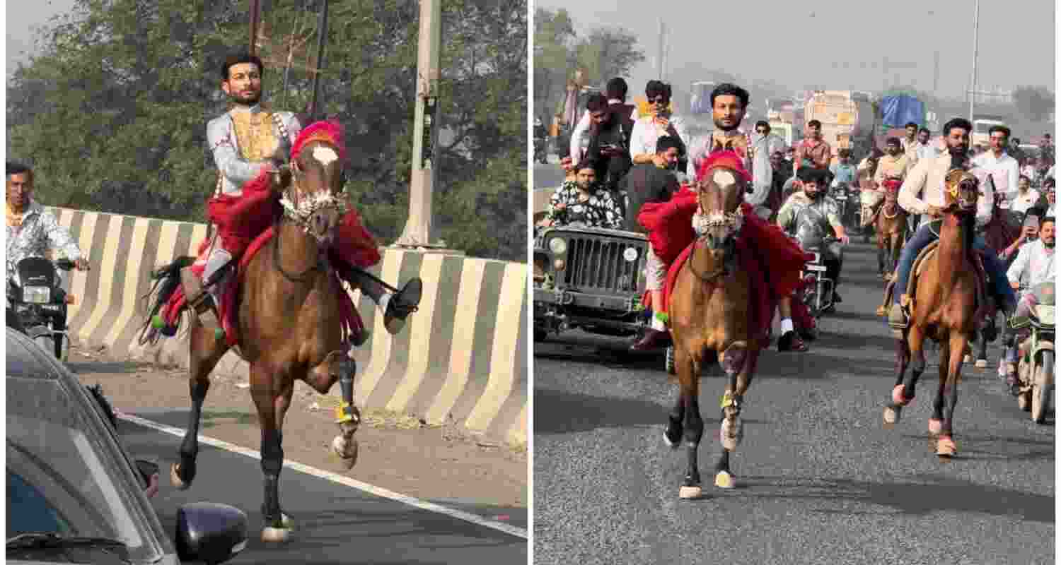 Grand baraat with 100 horses creates a spectacle in Gujarat. Grand baraat with 100 horses creates a spectacle in Gujarat.