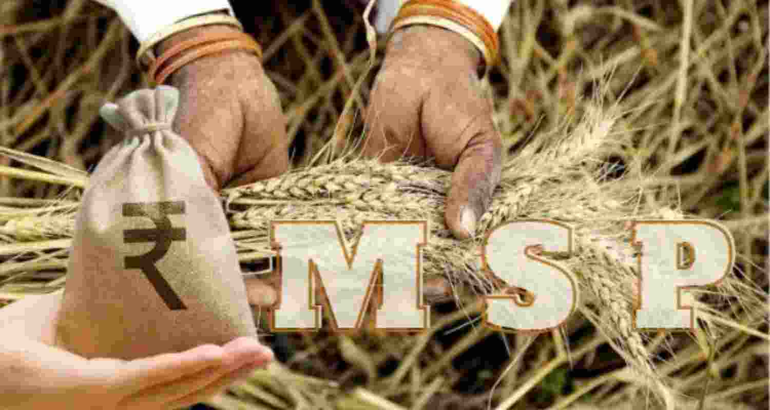 Maize MSP and centres coming soon, says CM Yogi Adityanath. Maize MSP and centres coming soon, says CM Yogi Adityanath.