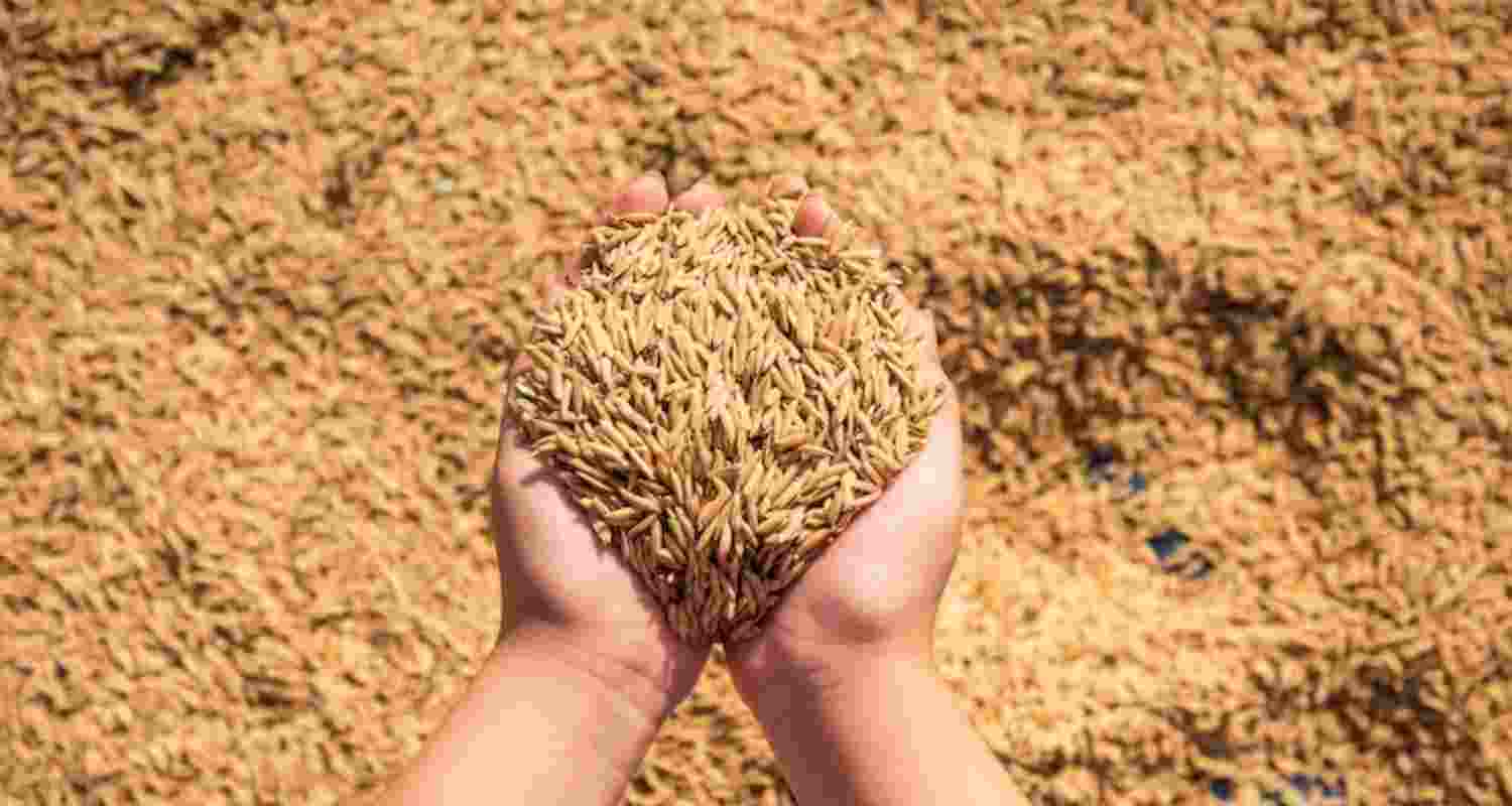 India is the world’s biggest producer and exporter of rice, accounting for 40 per cent of global rice shipments India is the world’s biggest producer and exporter of rice, accounting for 40 per cent of global rice shipments