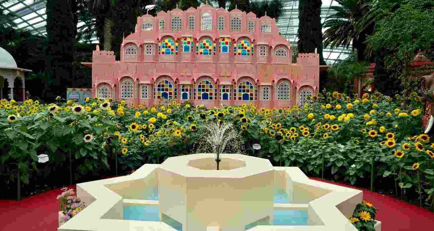 Gardens by the Bay hosts sunflower show for India, Singapore relations. Gardens by the Bay hosts sunflower show for India, Singapore relations.