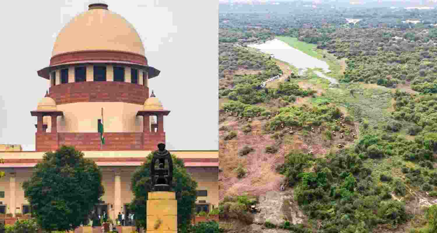 SC halts tree felling in Hyderabad forest area. SC halts tree felling in Hyderabad forest area.