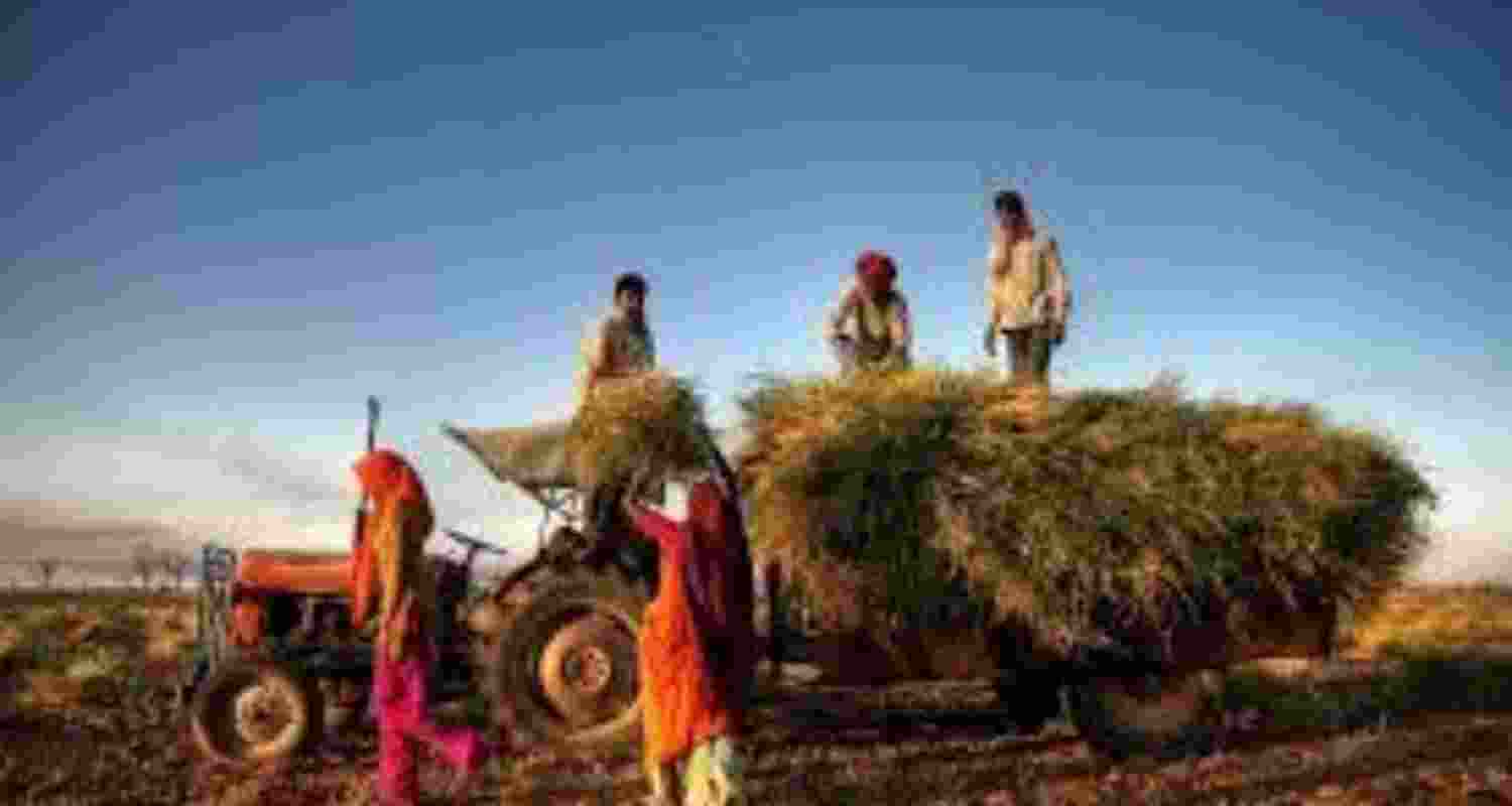 India's deadline to close a mini trade deal with the US draws nearer as Washington puts pressure on the country to allow it greater market access to agriculture India's deadline to close a mini trade deal with the US draws nearer as Washington puts pressure on the country to allow it greater market access to agriculture