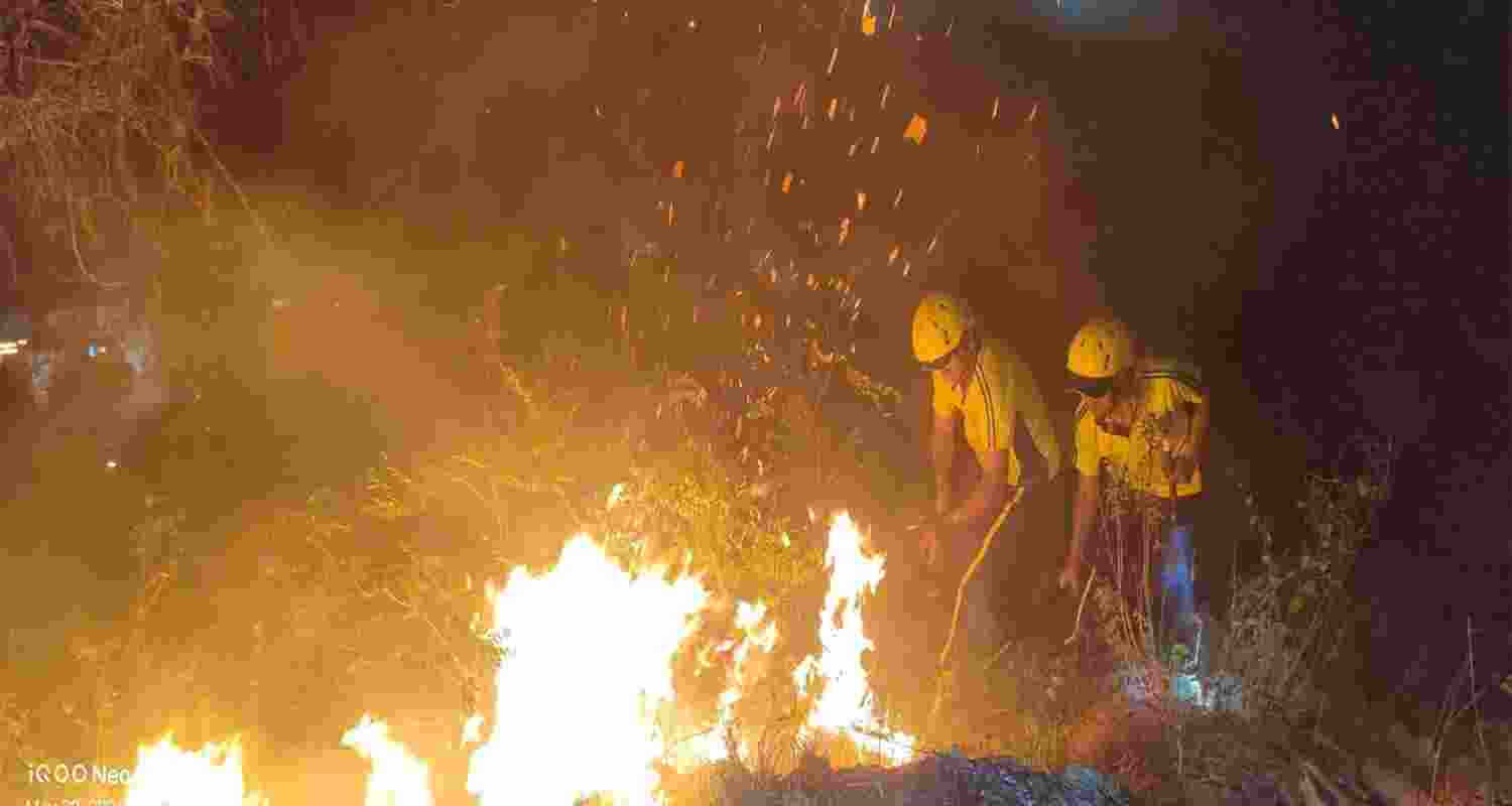 Visuals of the forest fire (Photo/SDRF)
Visuals of the forest fire (Photo/SDRF)