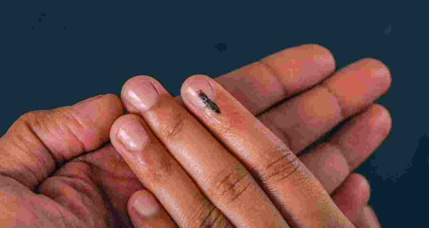 The hand of a person inked after casting vote. The hand of a person inked after casting vote.